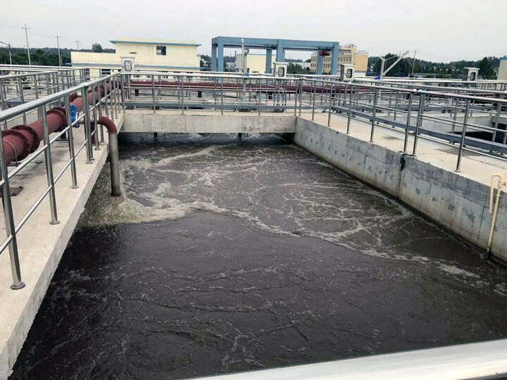 Dewatering and Drying of Food Processing Sludge