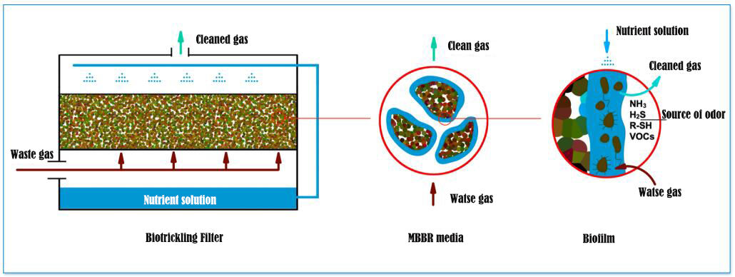 Biotrickling odor removal for exhaust gas treatment